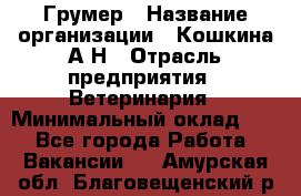 Грумер › Название организации ­ Кошкина А.Н › Отрасль предприятия ­ Ветеринария › Минимальный оклад ­ 1 - Все города Работа » Вакансии   . Амурская обл.,Благовещенский р-н